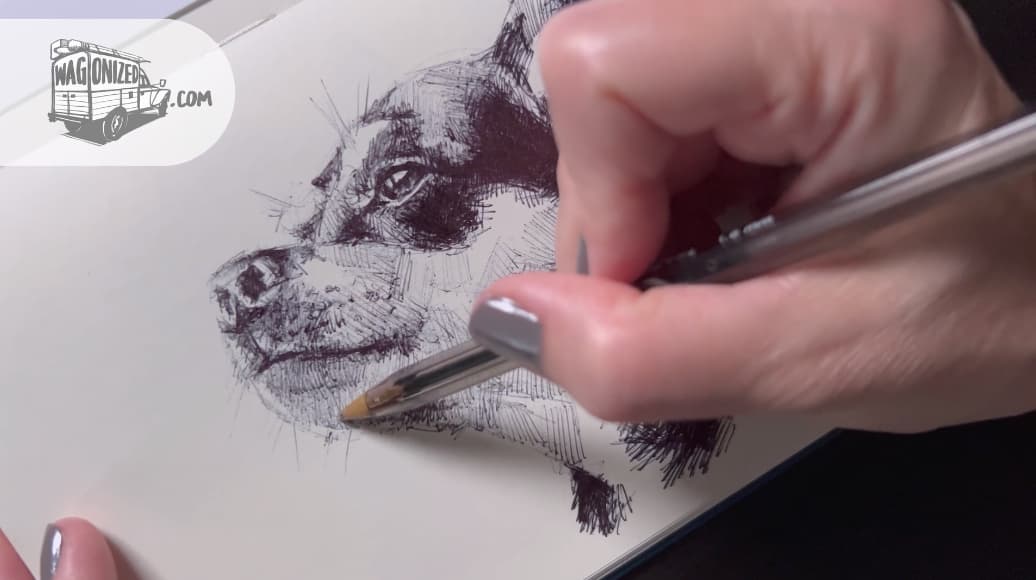 FREE video of drawing Pixie.